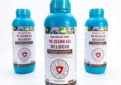BELUCID VK CLEANALL