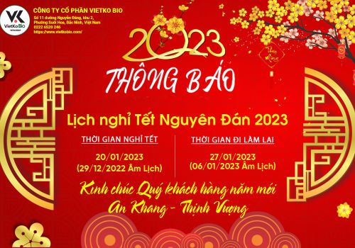 CHÚC MỪNG NĂM MỚI QUÝ MÃO 2023