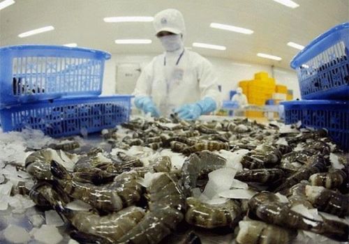 Việt Nam đứng thứ 4 về xuất khẩu tôm sang Mỹ năm 2021