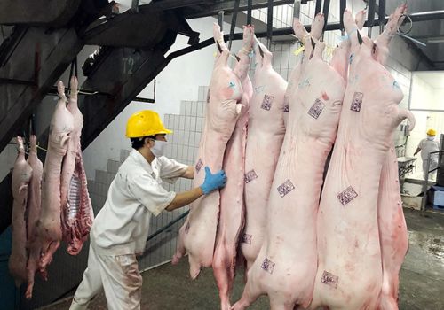 Giá thịt lợn chưa có dấu hiệu hồi phục: Doanh nghiệp và người chăn nuôi cùng 