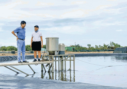 Người “ngoại đạo” và Tomgoxy