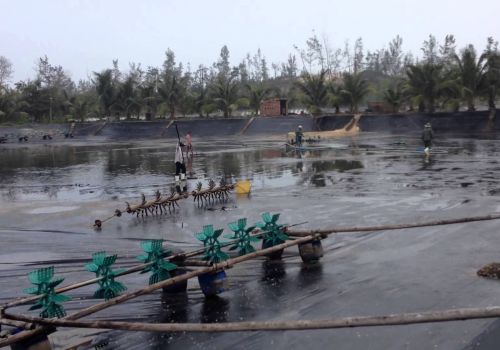 Đánh giá đặc điểm của ao lót bạt