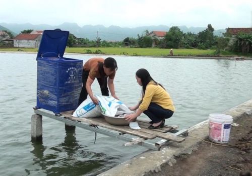 CHĂM SÓC VÀ BẢO VỆ CON NUÔI THỦY SẢN NƯỚC NGỌT TRONG GIAI ĐOẠN GIAO MÙA