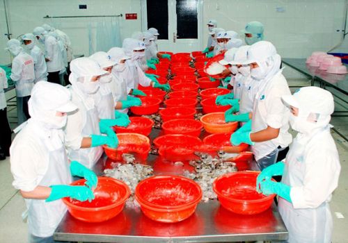 Bạc Liêu: Chế biến, xuất khẩu thủy sản: Tín hiệu vui từ các gói hỗ trợ phục hồi kinh tế của Chính phủ