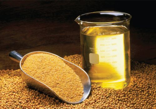 Thức ăn ít bột cá có bền vững?