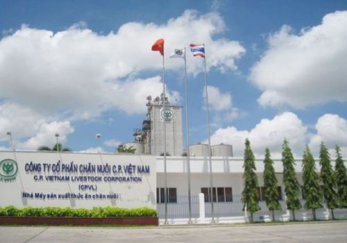 C.P Việt Nam muốn niêm yết trên HoSE