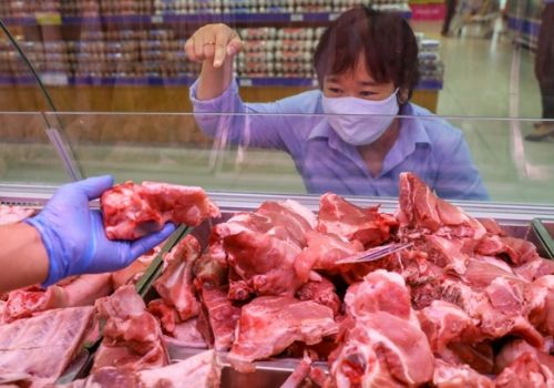 Dự báo biến động  thị trường giá thịt lợn từ nay đến năm 2026