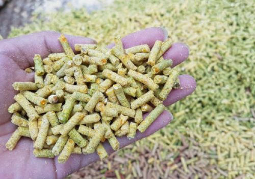 Phú Yên: Triển khai mô hình cơ giới hóa trong chăn nuôi
