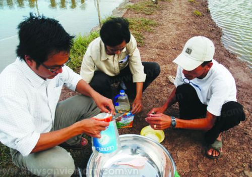 Cách sử dụng men vi sinh hiệu quả