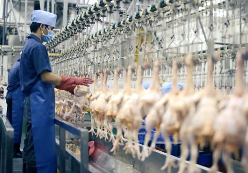 TP Hồ Chí Minh: Đầu tư 2 dự án giết mổ gia cầm công nghệ cao