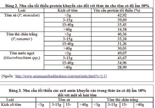 Nhu cầu protein của tôm