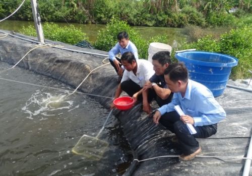 Khuyến cáo dành cho người nuôi thủy sản mùa hạn mặn