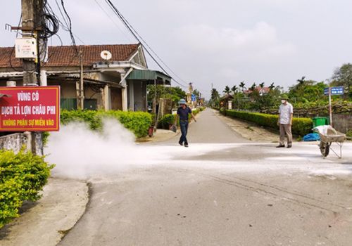 Hà Tĩnh khoanh vùng, hạn chế thiệt hại do dịch tả lợn châu Phi