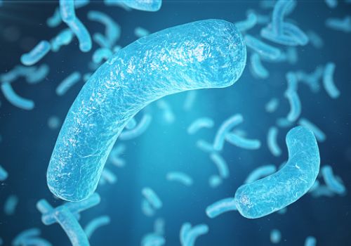 Protein đơn bào: Sự lựa chọn mới trong sản xuất thức ăn chăn nuôi, thủy sản