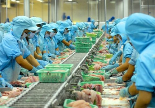 Tranh cãi về phốt pho trong thủy sản