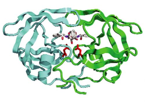 Ứng dụng hiệu quả enzyme trong nuôi thủy sản