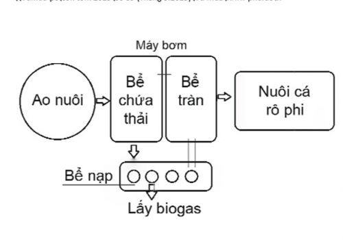 Xử lý nước thải nuôi tôm bằng bể biogas