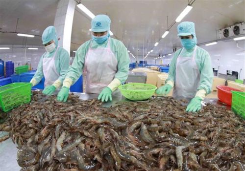 Xuất khẩu thuỷ sản tháng 3/2022 giữ vững tăng trưởng 25%