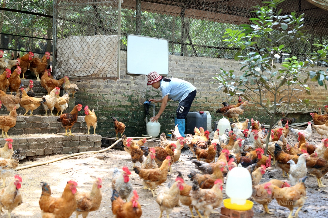 THỨC ĂN DẠNG LỎNG, GIẢI PHÁP ĐÁNG CÂN NHẮC