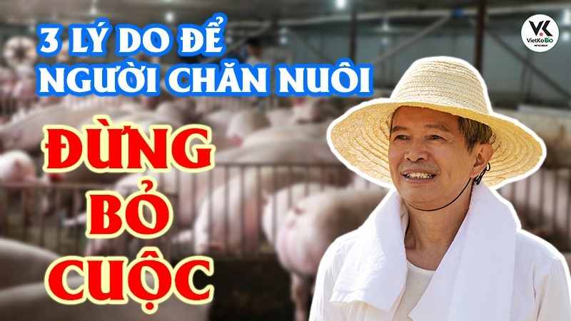 3 LÝ DO NGƯỜI CHĂN NUÔI ĐỪNG BỎ CUỘC 