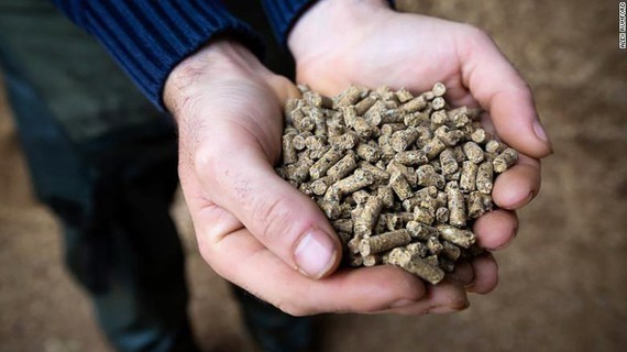 3 chiến lược kiểm soát chi phí thức ăn chăn nuôi 2