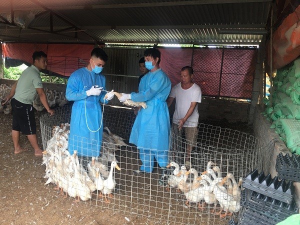 2 loại phí lệ phí trong chăn nuôi và thú y được giảm kể từ ngày 0172023