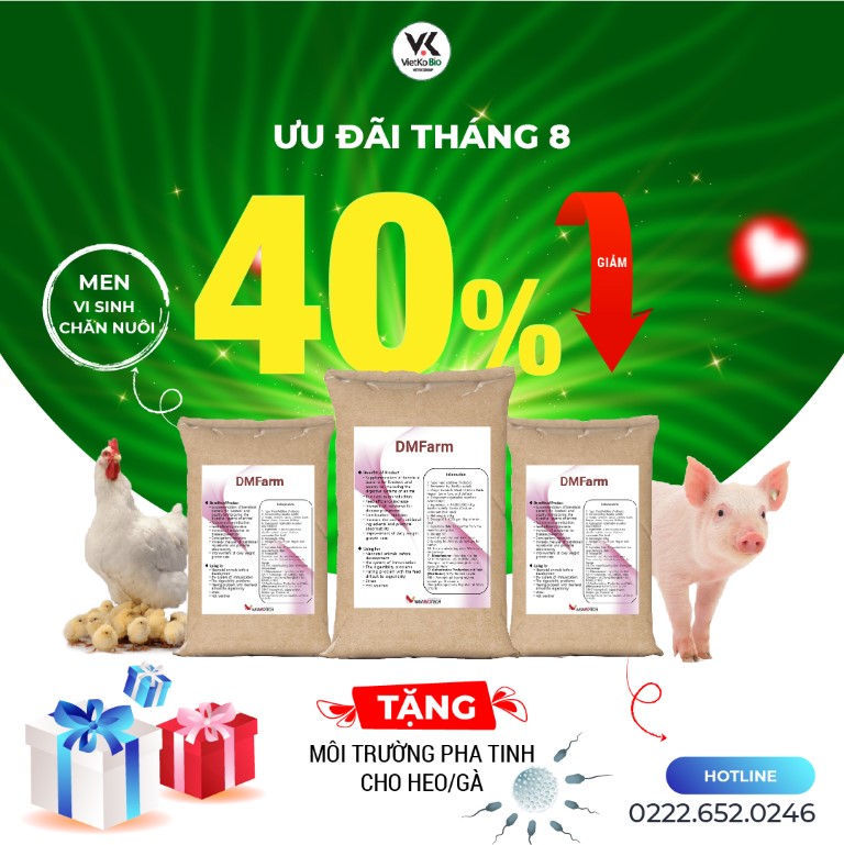 final Ưu đãi tháng .2023-01