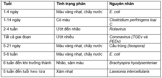 bảng 1