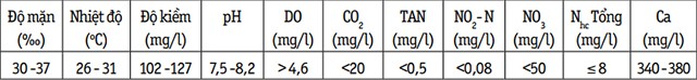 bang-1-ct109