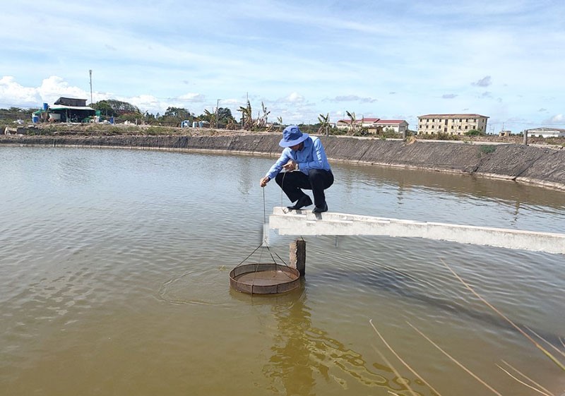 ho-nuoi-tom