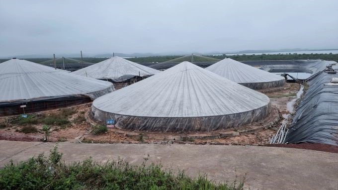 ky-su-tin-hoc-muon-lan-toa-mo-hinh-nuoi-tom-cong-nghe-cao