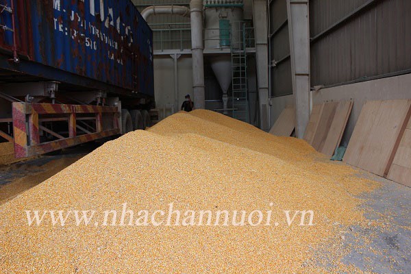 nhachannuoi.vn-nguyen-lieu-thuc-an-chan-nuoi-1_1