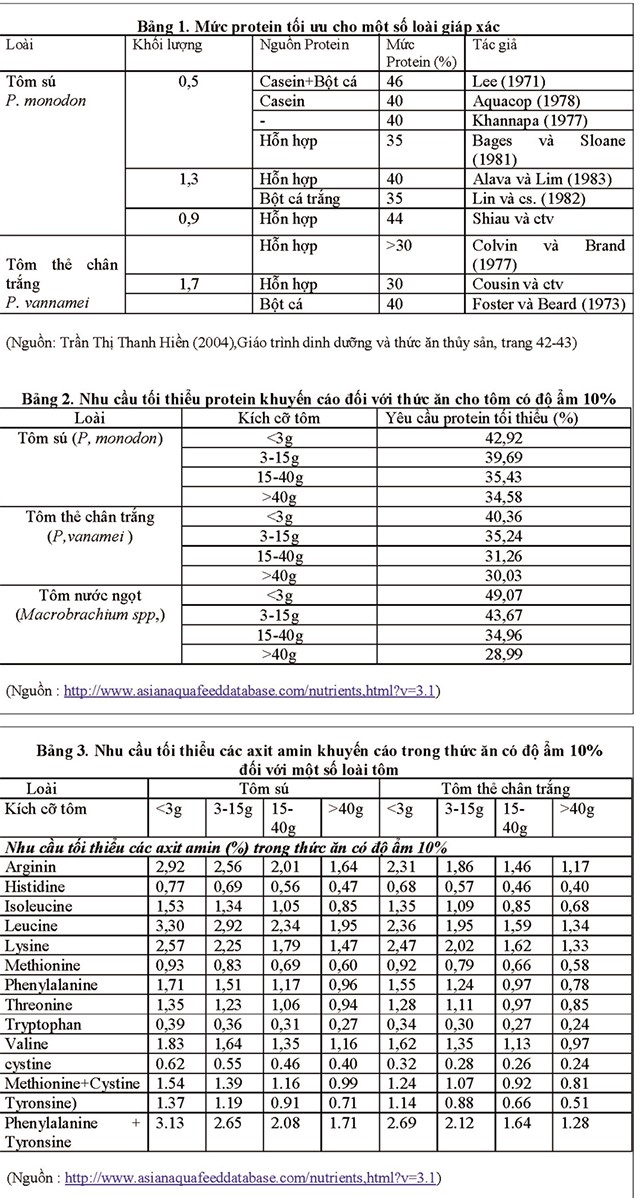 nhu cau protein