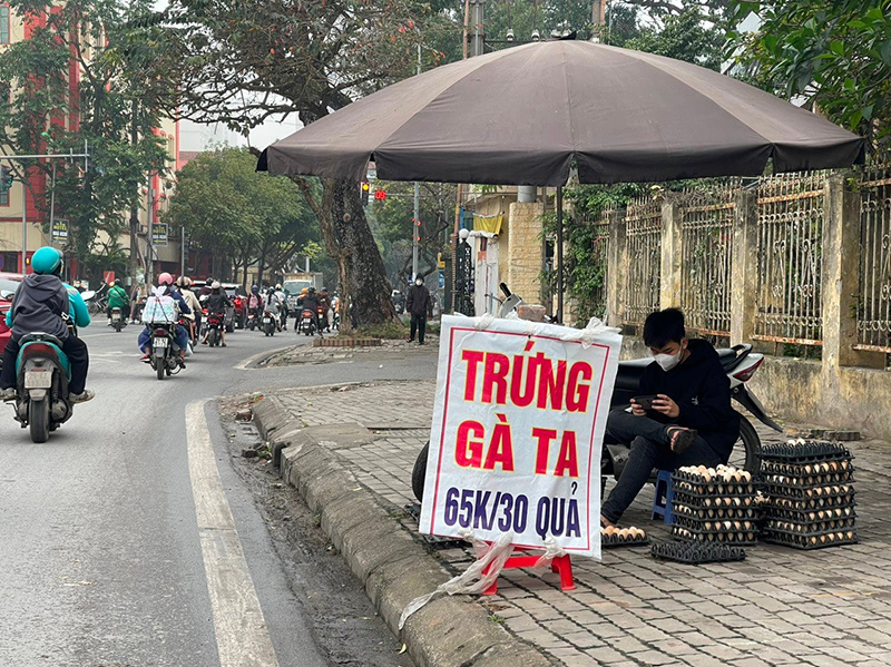 Vì sao giá trứng gia cầm xuống thấp?