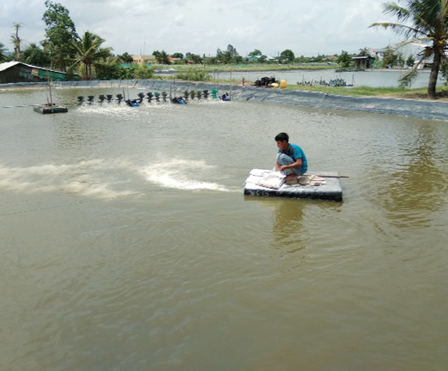 vai-tro-cua-khoang-trong-nuoi-tham-canh-sieu-tham-canh-ao-lot-bat-hoan-toan_312020