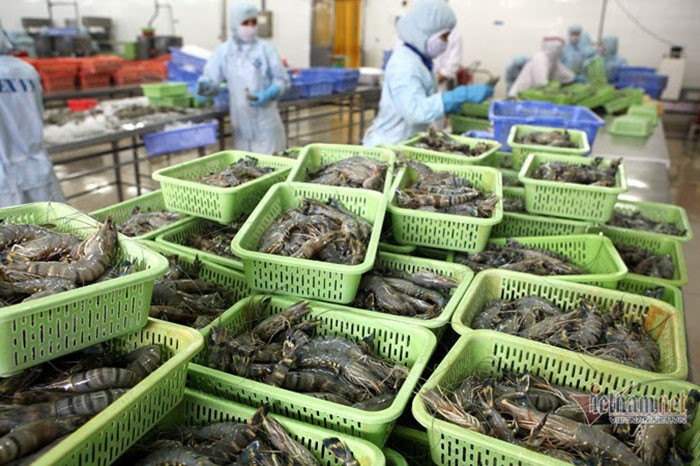 xuat-khau-thuy-san-viet-nam-sang-thi-truong-nga-my-1