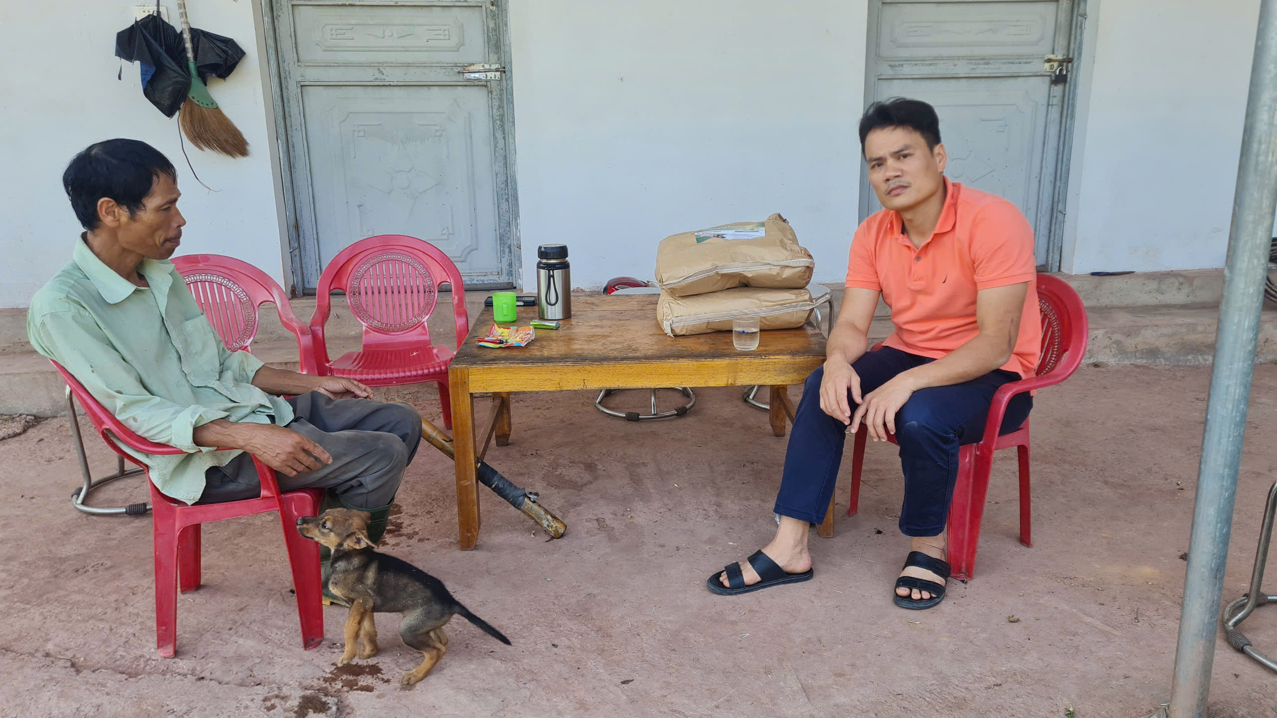 z5915988879387_92b02f448ed06400348de91d718f519a